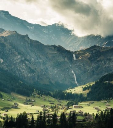 Nature Beauty