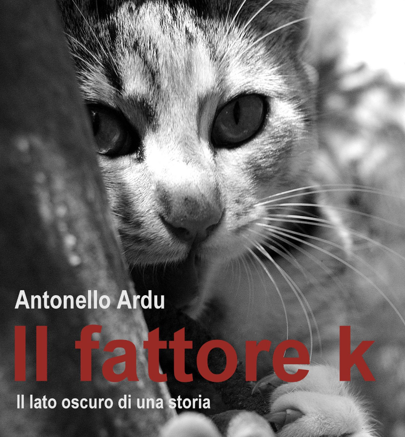 Antonello Ardu, copertina del libro "Il fattore k".