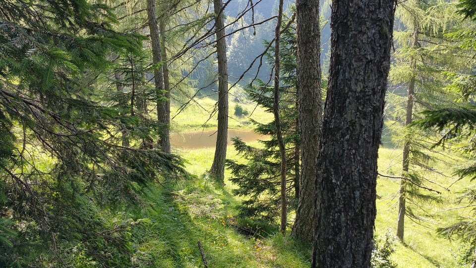 Trentino (CC0 Public Domain)